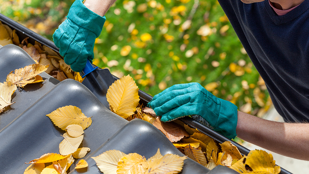 Comment préparer sa maison à l’automne ?