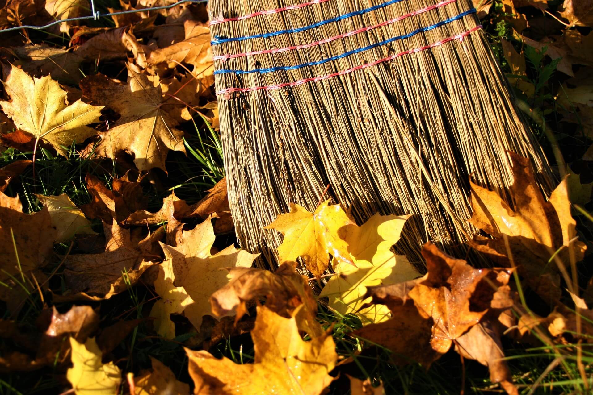 L’automne arrivée, se préparer pour l’hiver.